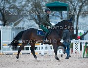 Belinda FZ Tosc Tour2013- S5 1928 : Arezzo, Belinda FZ, Cavalli d'Italia, Toscana Tour 2013, foto di Stefano Secchi ©